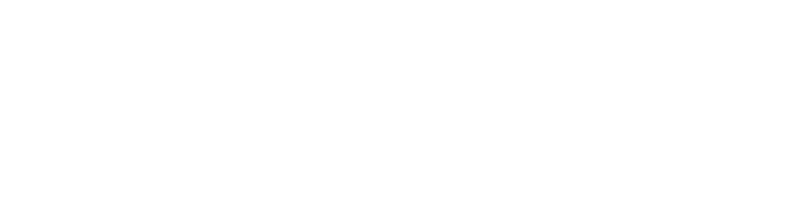 PT Reisen Erfolg Indonesia